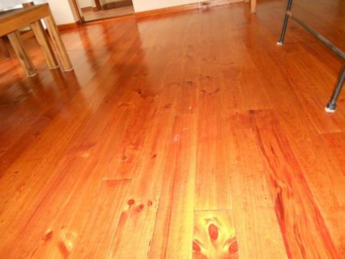 Newly laid pine and stain